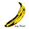 John Cale on The Velvet Underground & Nico: "Everything was down-tuned 